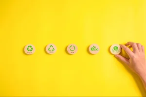 sustainable lifestyle